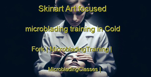 Skinart Art-focused microblading training in Cold Fork | MicrobladingTraining | MicrobladingClasses | SkinartTraining-United States
